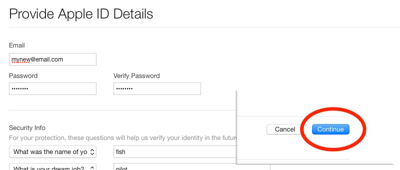 Provide Apple ID Details