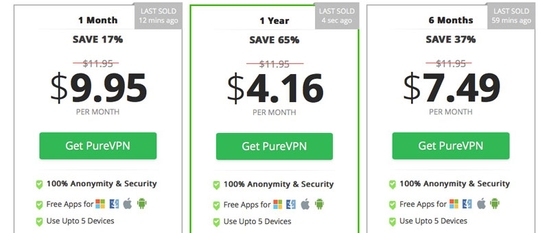 PureVPN Cost