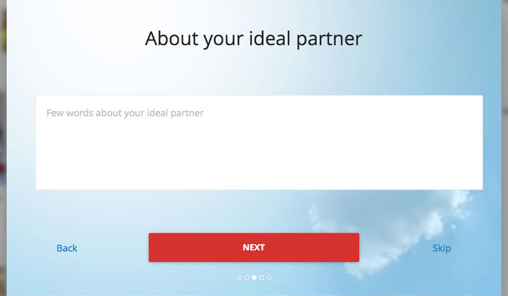 About your ideal partner