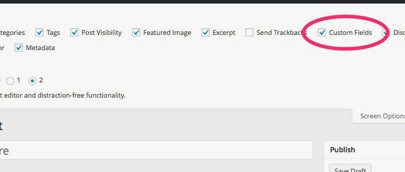 Custom Fields Setting for Posts & Pages