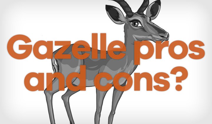 Gazelle Pros Cons