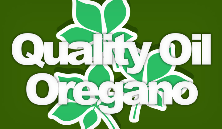 Quality Oregano Oil