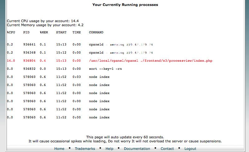 cPanel Process View 2